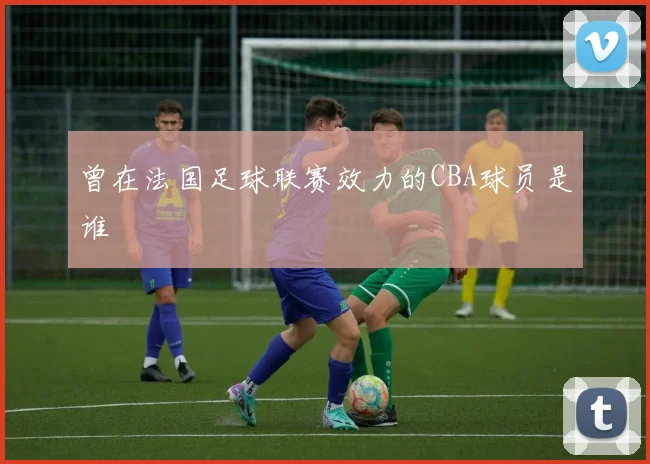 曾在法国足球联赛效力的CBA球员是谁