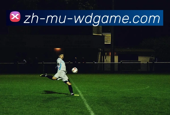 问鼎娱乐平台生态图